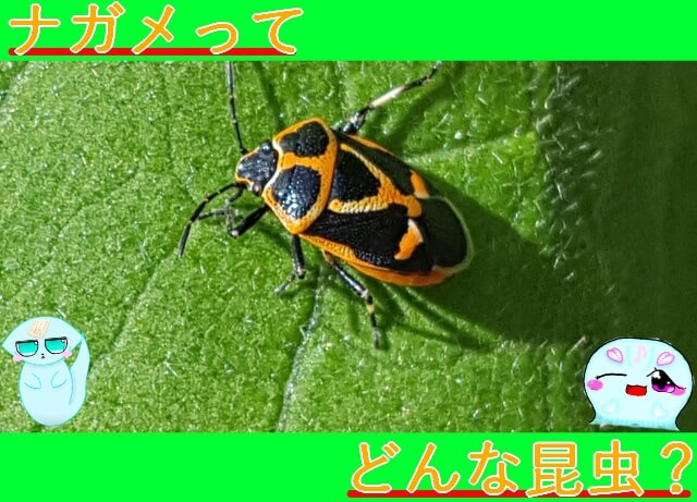 Thumbnail of post image 159